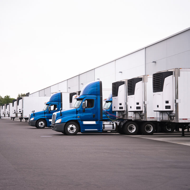 Refrigerated Trucks waiting to deliver